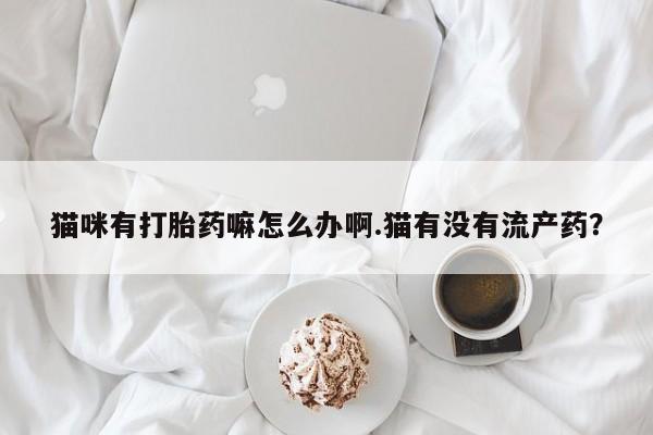 打胎药专卖微信猫咪有打胎药嘛怎么办啊.猫有没有流产药？