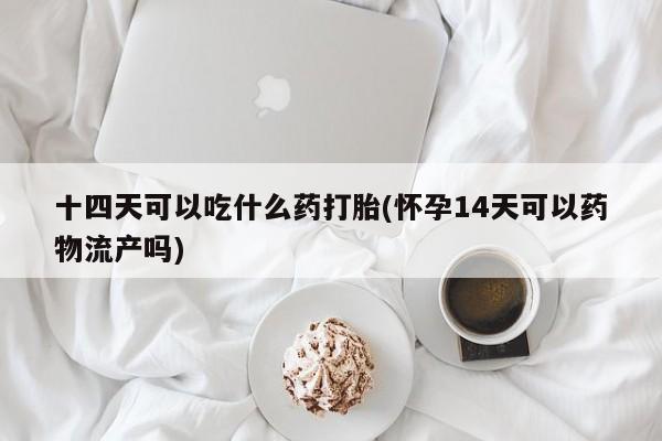 打胎药专卖微信十四天可以吃什么药打胎(怀孕14天可以药物流产吗)